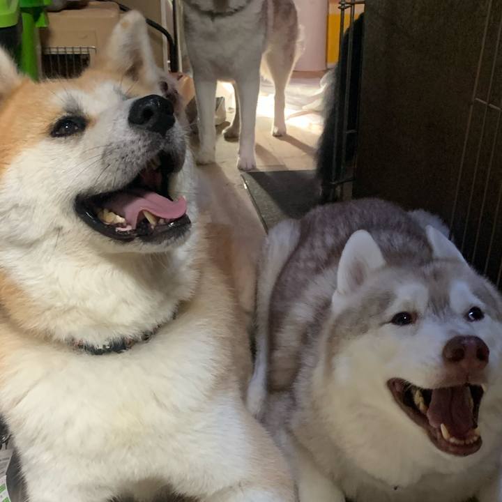 5821870b 3f1a 4d01 849c 57b1b433daba 1726575249464