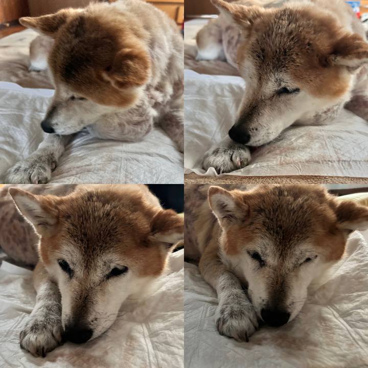 5821ac99 7030 4e6c b737 df5c1f951181 1762670137485