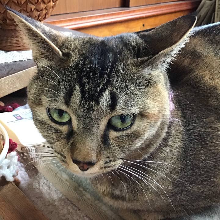 5821bc6e 5794 47eb 9645 89f8655532b5 1615093352941