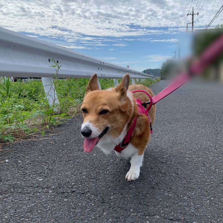 5821cf25 642d 4366 9cfe 5d218ebbc068 1695702278711