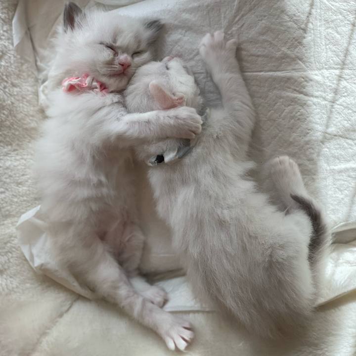 582215d6 618d 4924 86e9 b7754144c912 1678577724300