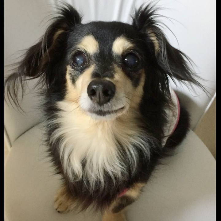 582217d6 13a2 4cf0 bded 3c9f1afa8d4f 1570621257255