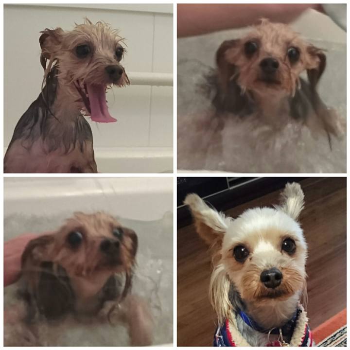 582262bd ddfb 400a 8331 4f56dfe5b97d 1513170393765