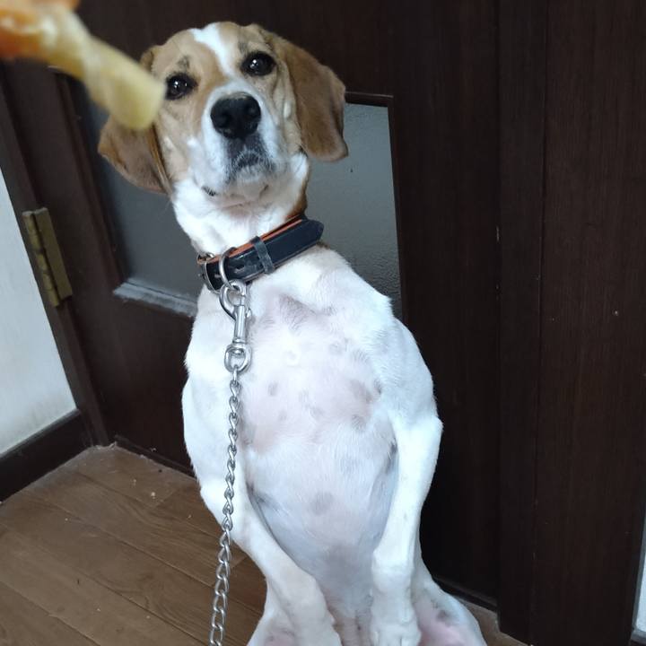 58227f02 4c6c 40ac ad07 6ba51fe02d5c 1628082700904