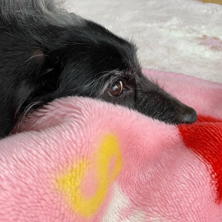 5822a246 4342 47a2 b037 edc3db1baf25 1665617837130