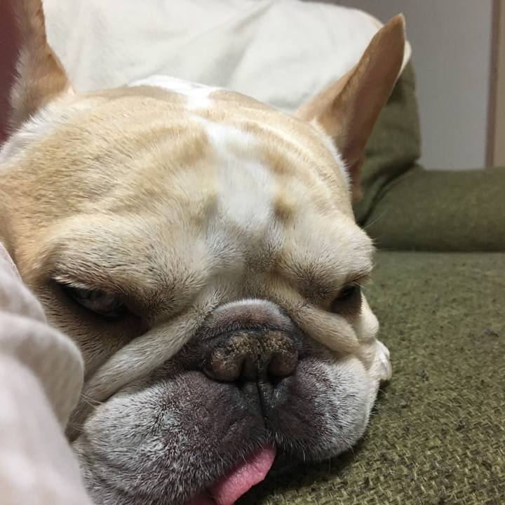 5822d275 4867 4394 bc81 966cd4fea990 1514551096121