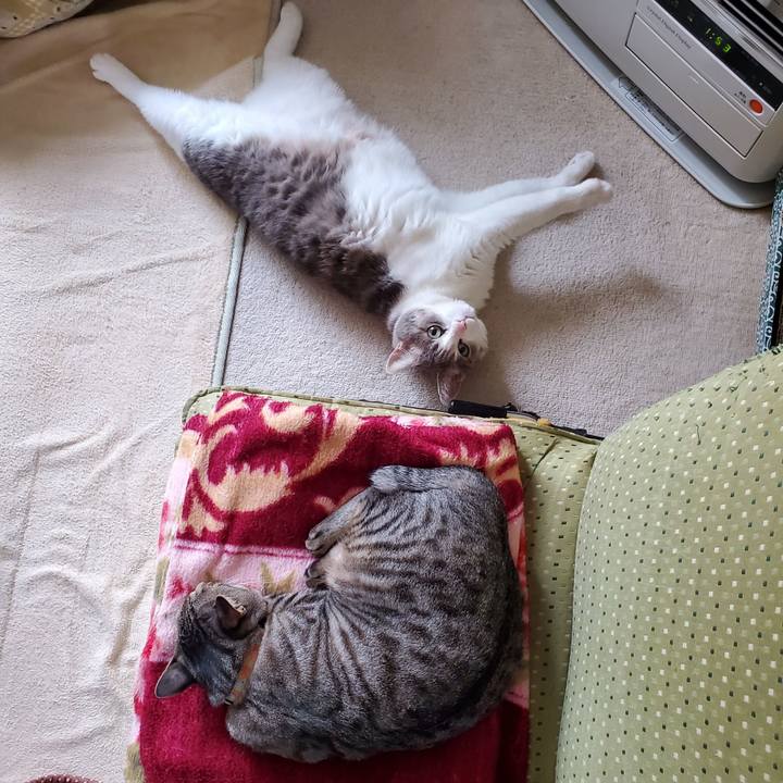 5822dc39 9b54 46bb bd68 d45be6be750b 1699892898863