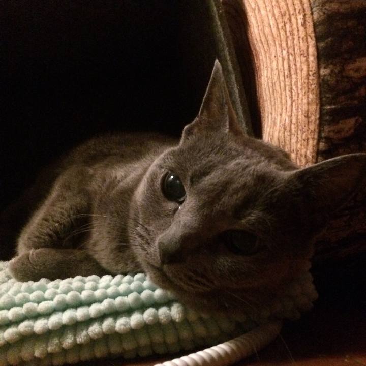 58231534 1837 409b 9f7a 9fb739944a73 1547821219495