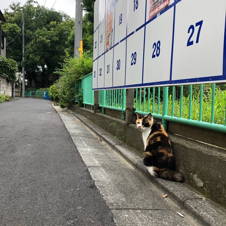 582316cb 40ab 45ec b7b7 0d3b81f5b876 1564045171654