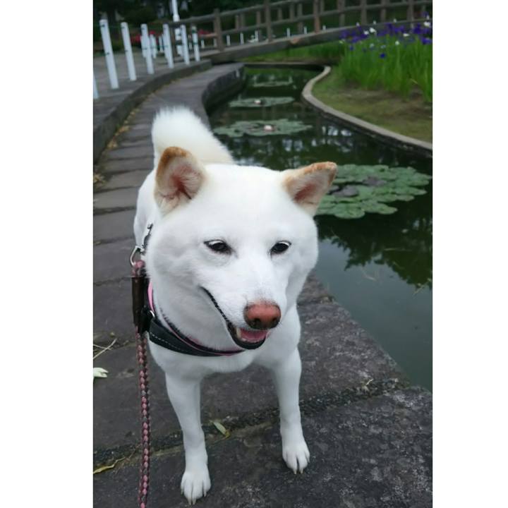 582322a4 b7a8 49fd 907b 572414eb8255 1528684725234