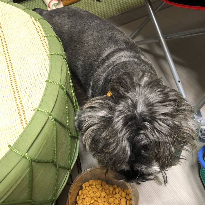 58233557 8cd6 4654 b8dc e9c2accd5eb0 1573127168843