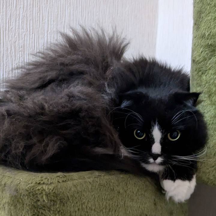 582354b6 b4ca 43f5 a011 0b1ee17d227d 1734091035553