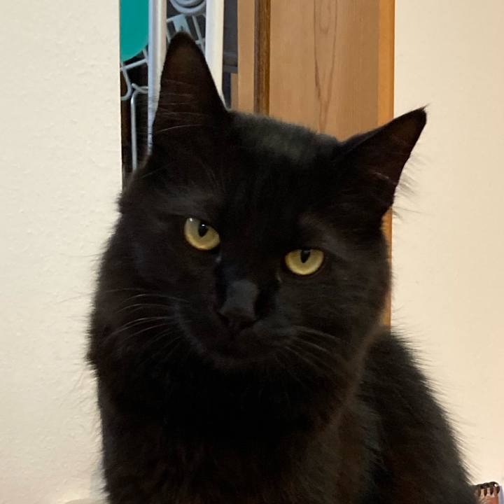 582378f6 039e 41a3 ba44 9f8399c5e46a 1741857741966