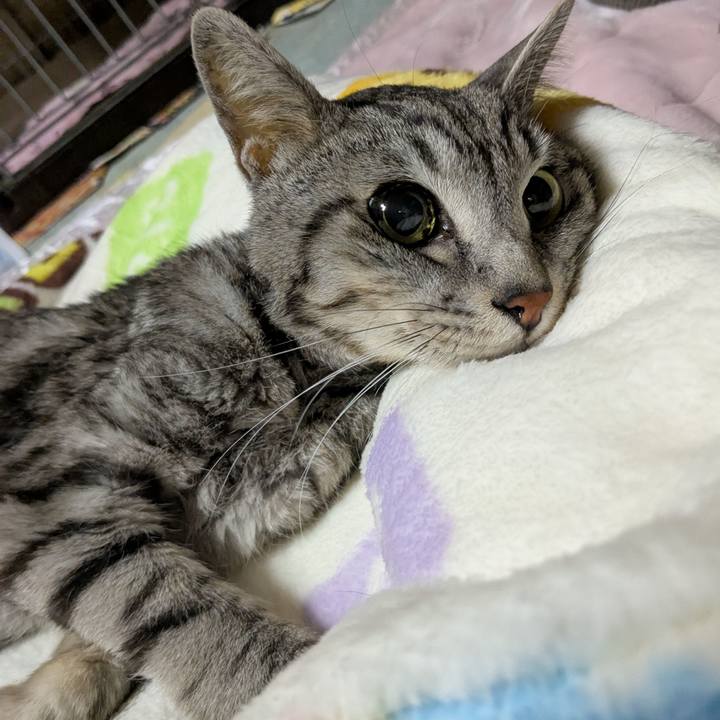 5823af22 07f5 4fe2 b1bf 343bc72cfc27 1744469806303