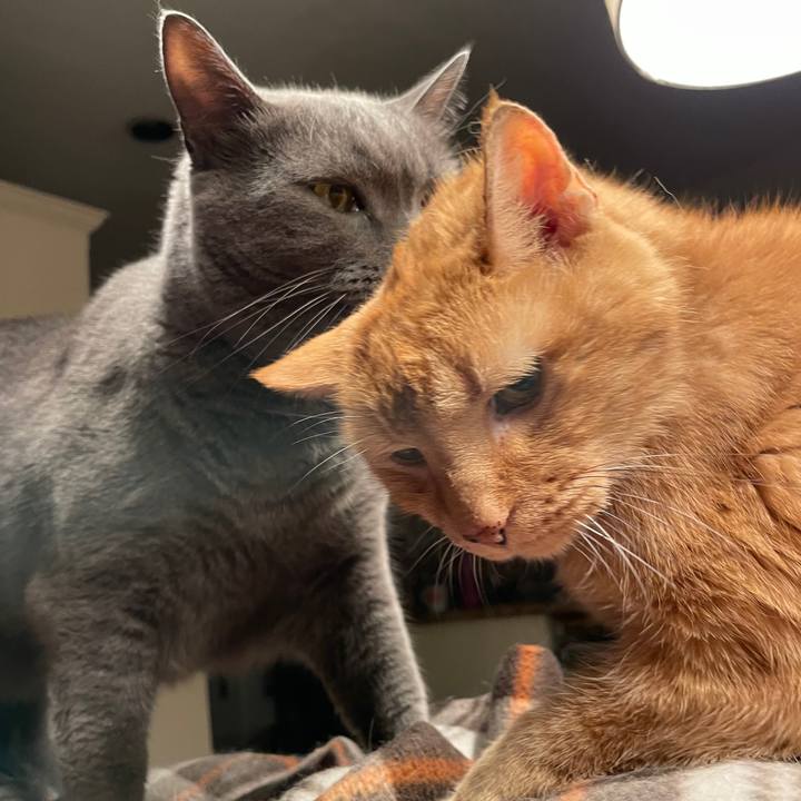 5823c885 9ab8 4d4c a7cc 67d36c914374 1769550771136