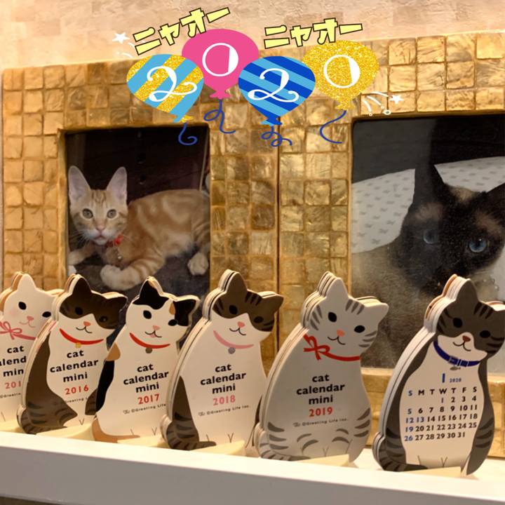 5823fae1 0978 4dab 920d d835b50bb118 1577845925314