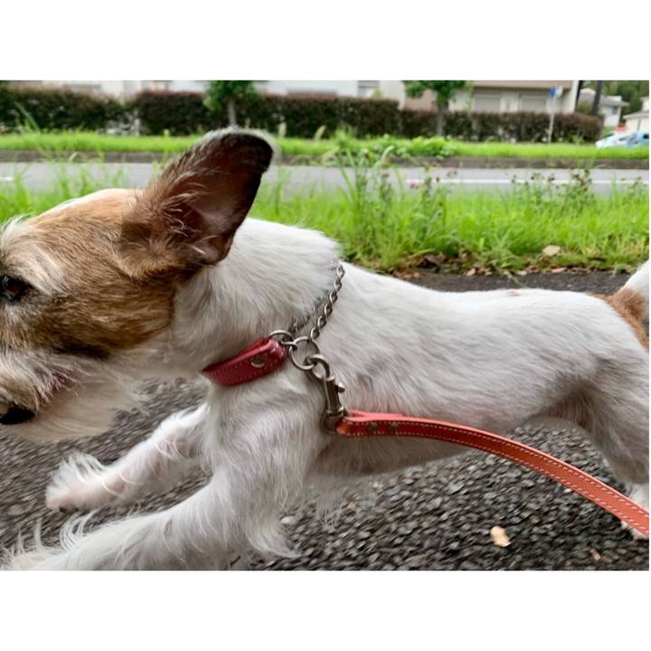 58240c13 63fb 450b b8f8 f8bc84cbb353 1629607867482