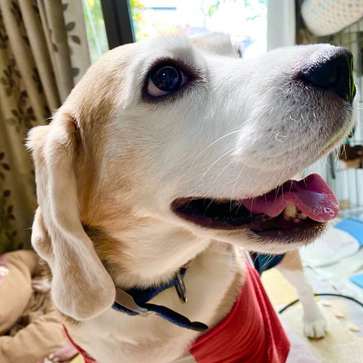 58243e4c dabd 45e2 a939 8ea65e9dd044 1620012831604