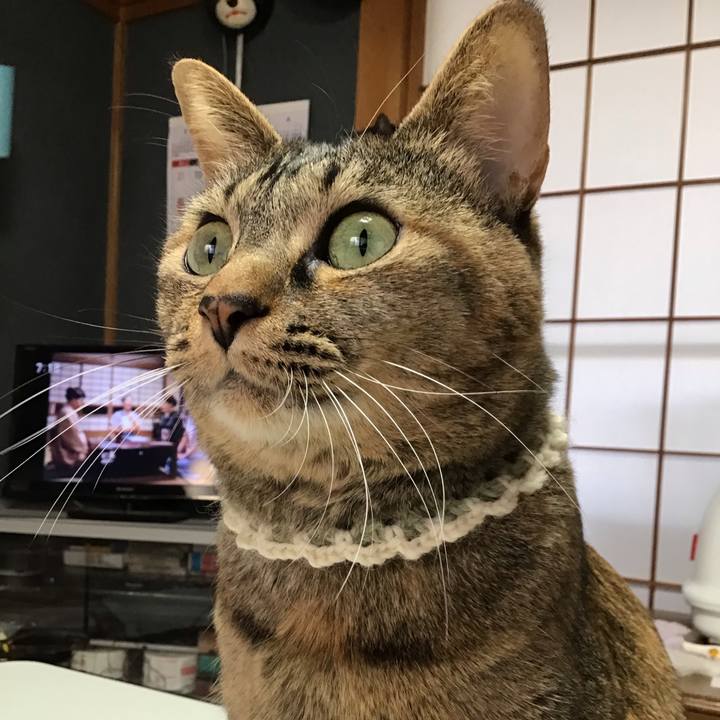 582479fe 7b11 464e 91f0 c35bbc28501e 1646438692670