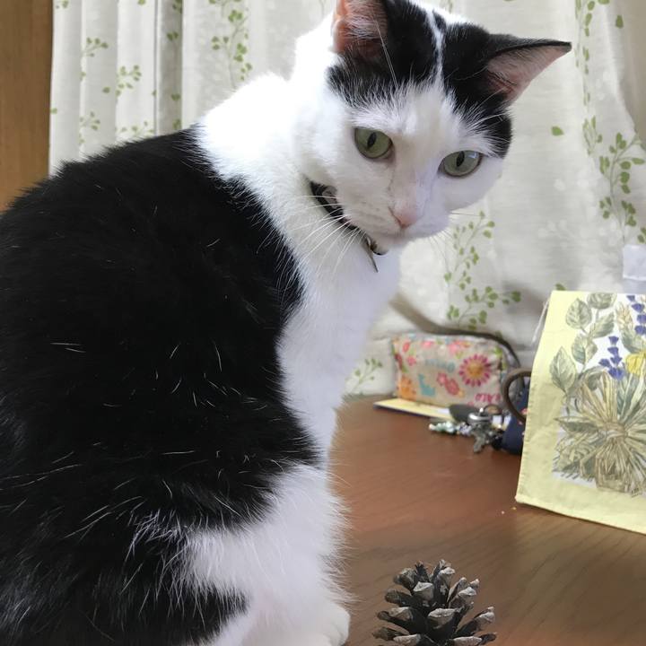 5824c22d 343c 438a 84be 3ae9155ac45e 1525436346556