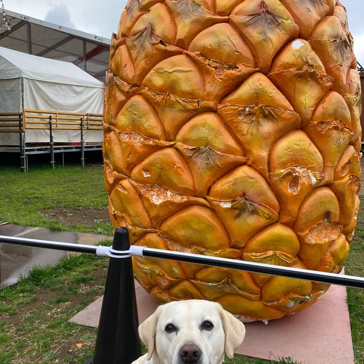 5824c864 e5d7 4dfc 8434 19d79f946447 1708347921816