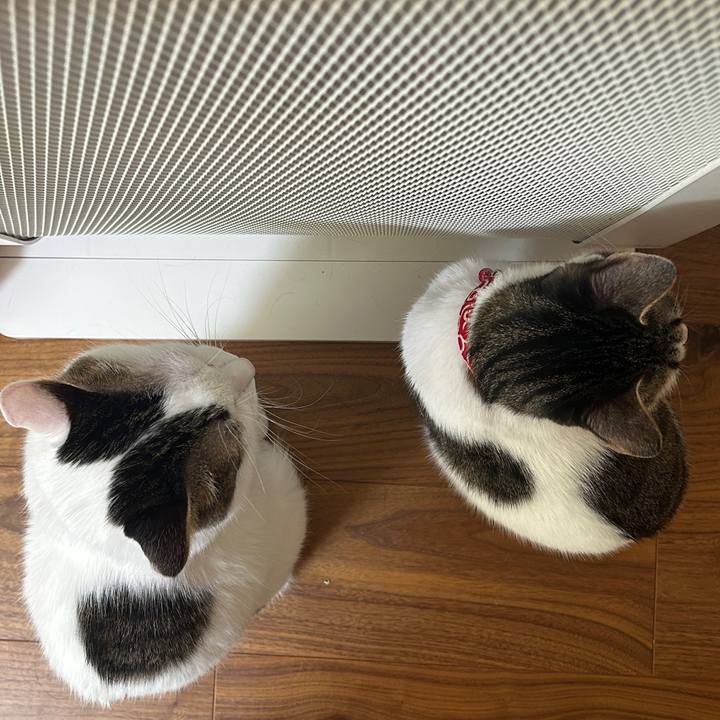 5824df22 9e1a 40dd 83e2 159012c68a16 1766732693044