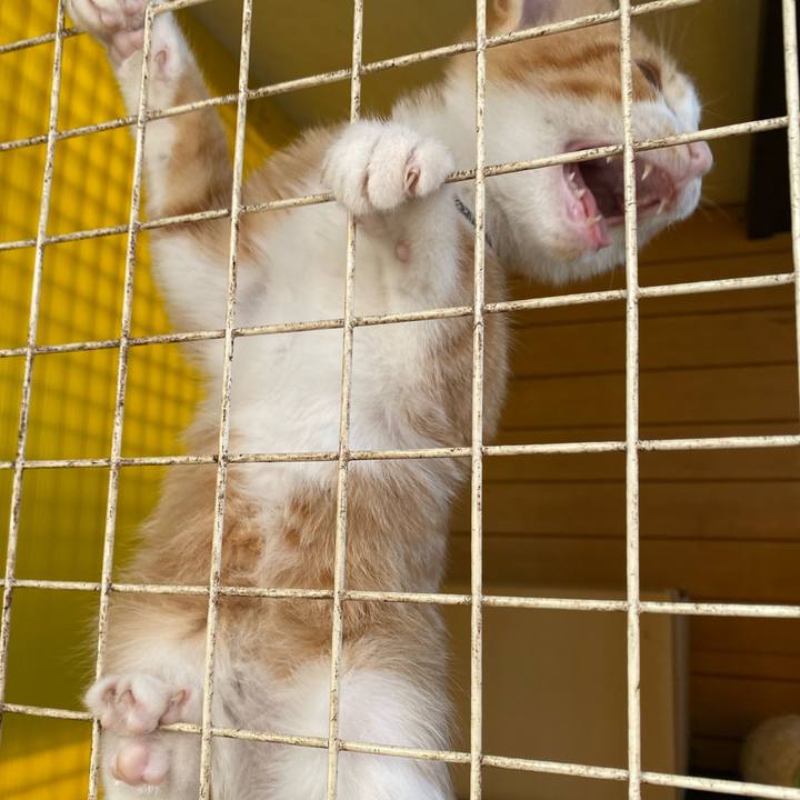 5824e3e4 9be8 4dbe b932 d07b450e7a0c 1667436498145