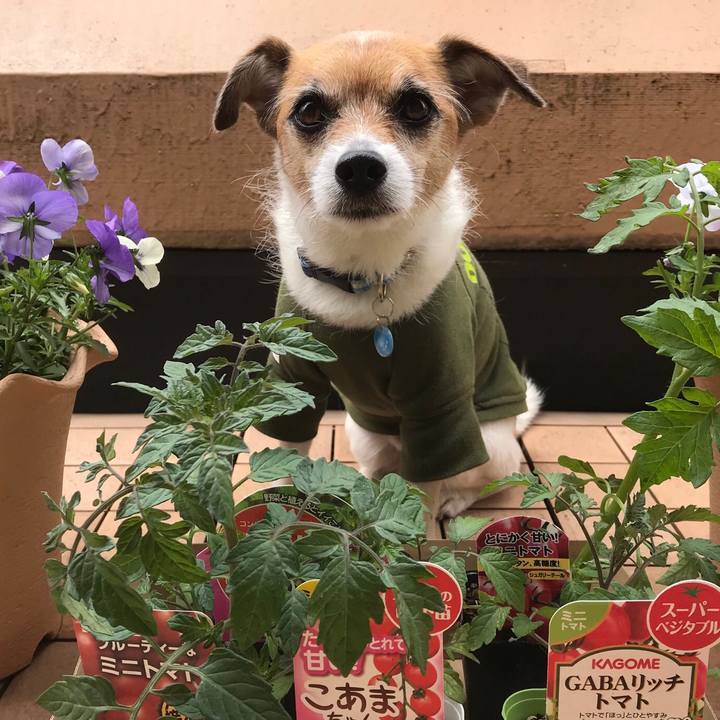 5824fa39 1bb8 40ad a662 8a21840d7484 1556351250706