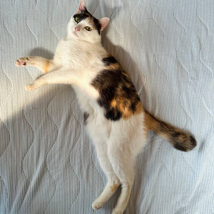 58250cd8 1d5c 4637 9514 aec77f50c9ea 1723162936037