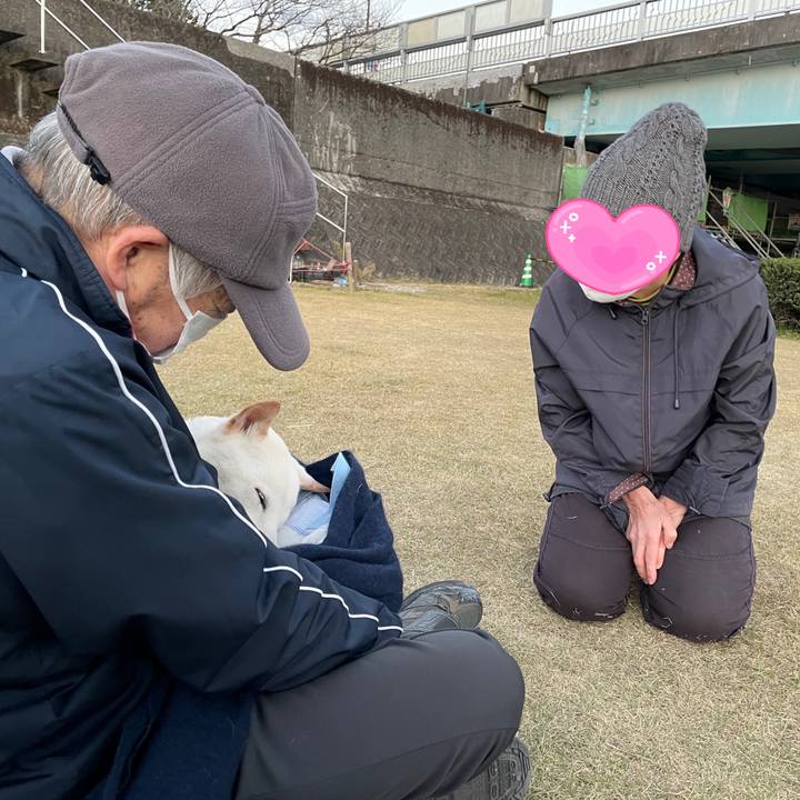 58252958 20f6 4091 b228 f90062797858 1671033397793