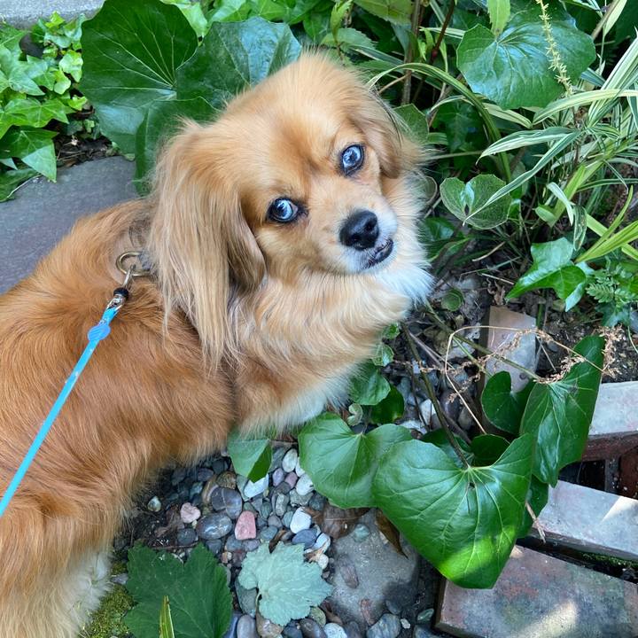 5825549f b004 4f65 bedb 72d82d52f955 1589322675452