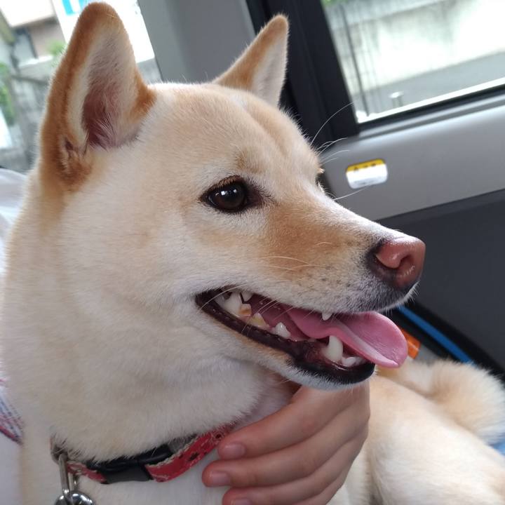 5825f944 00b3 4a43 ac88 df199c834575 1527332041669