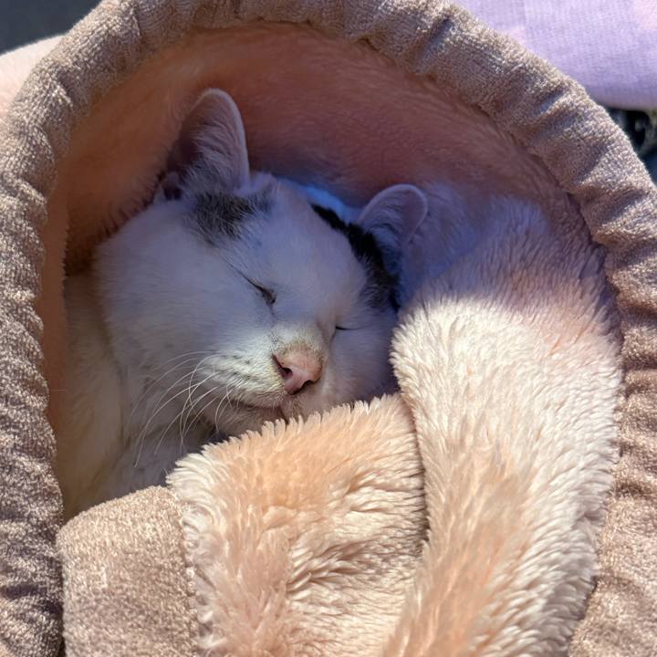 582644b9 d120 4026 a8f0 633c201c1a56 1768208170431