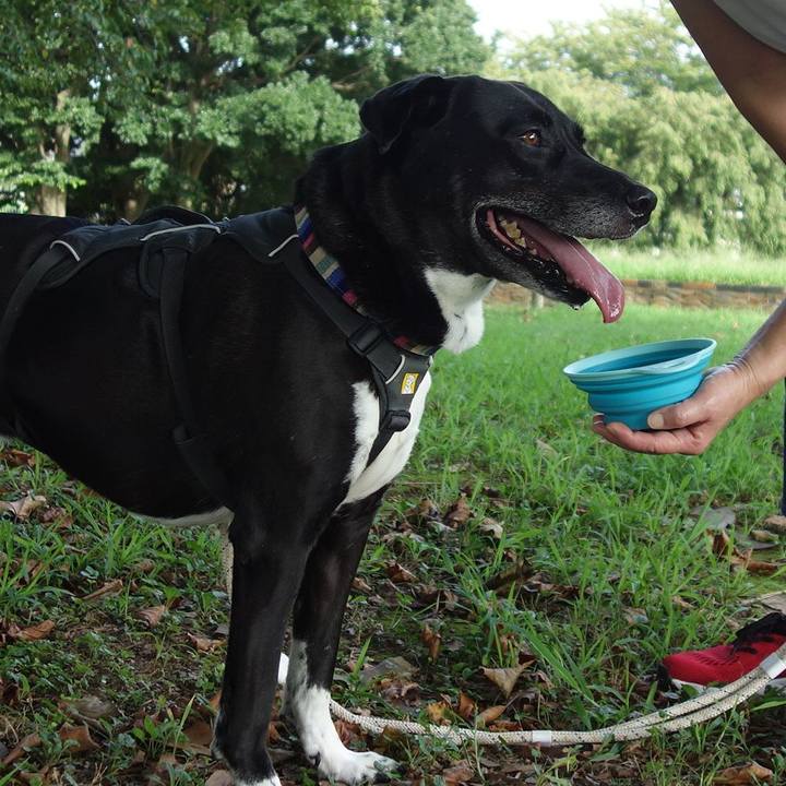 58264526 06b0 4dfc 9f4b 796a858cfaf9 1661734286659