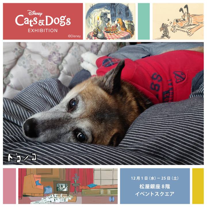 58266f63 6e80 4bc9 9407 d77273dc6659 1638452590444