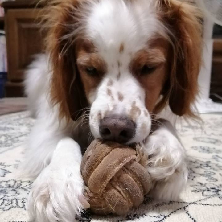 5826a970 b6ad 416a 875b f9981ee91a99 1591615358824