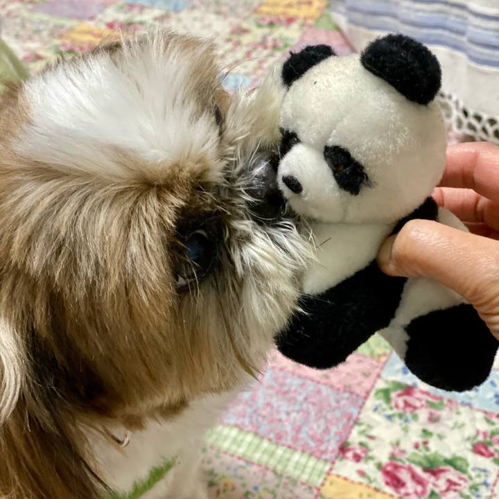 5826c0af b459 4fb4 af98 a8a75e3c1afa 1613812689291