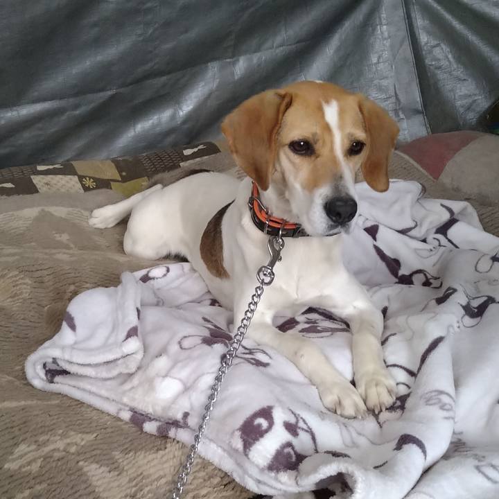 5826c9e4 9a18 4da6 ab64 8a99cb792c77 1618217654758