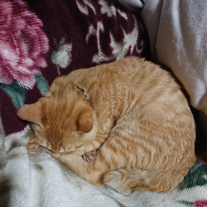 5826e906 576f 44a1 bf94 2bf961bb0f25 1635596409903