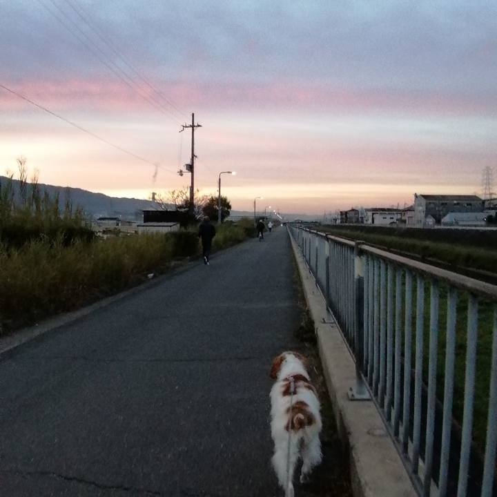 5826ea75 600e 4c06 bba9 6e31369cc64d 1578700013333