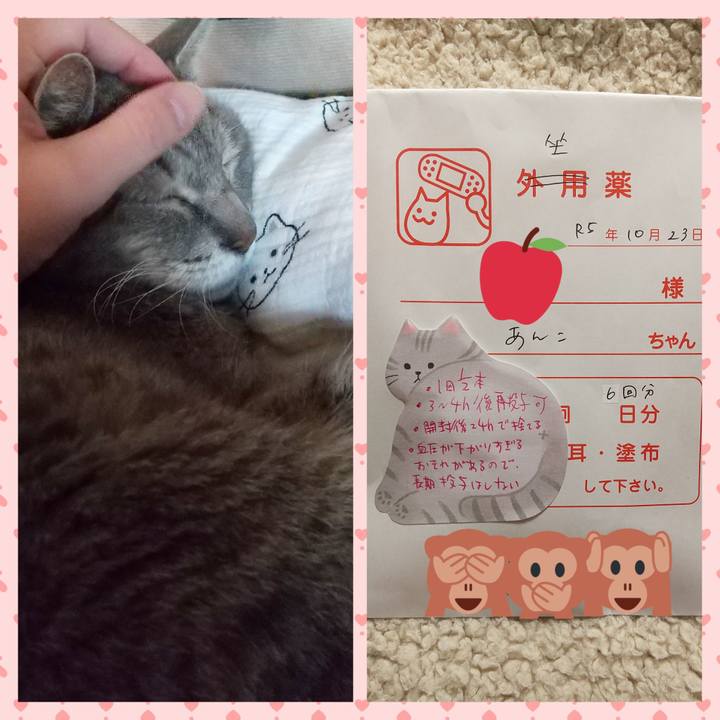 5826f04f 49cb 4ec5 8bd9 87723d8ca863 1698025390258