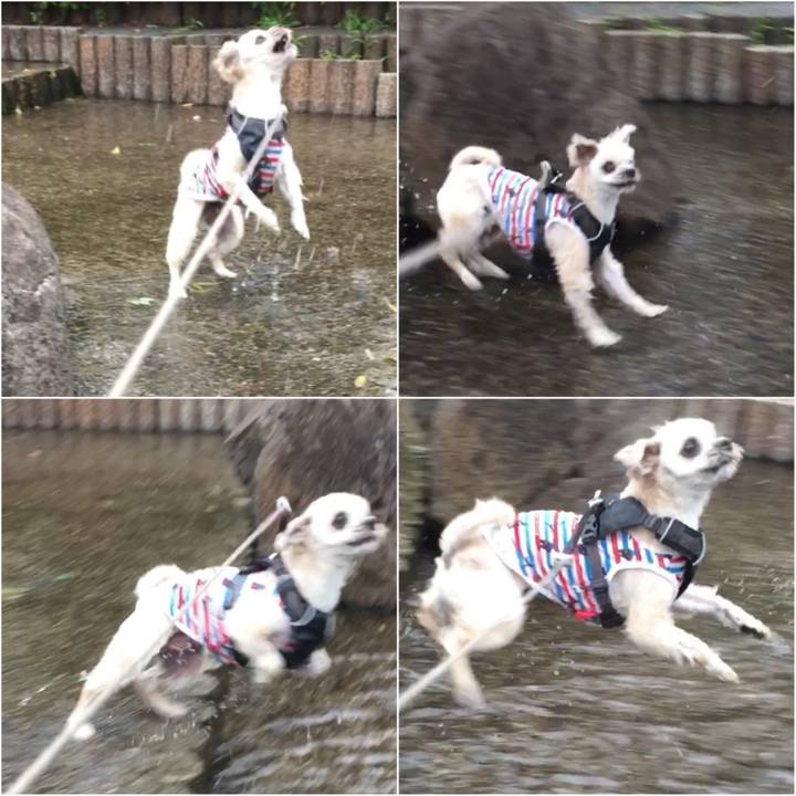 5826fb74 42ae 461e b328 f3b891b8d20b 1561265037500