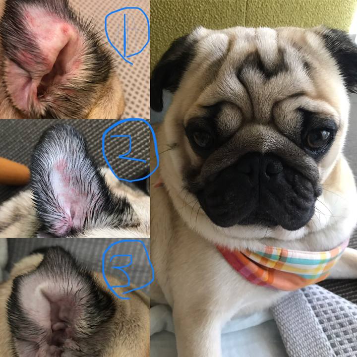 582721bb 52f6 4cd3 b55e 099a28aec608 1564995320687