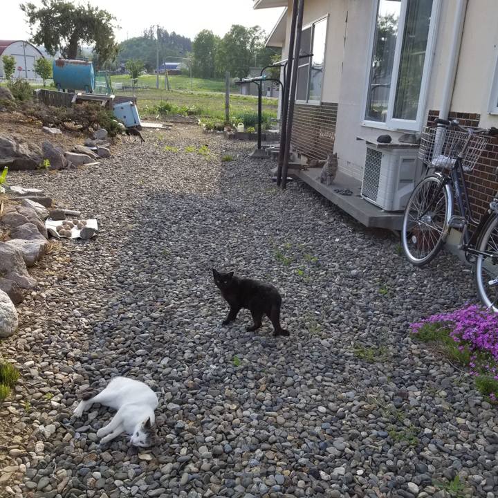 58275759 688a 4ad0 b6c8 80d598f60a5f 1653488854724