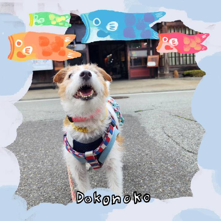 5827d82d 12db 4786 8524 6cb8c6cce1f6 1749355402788