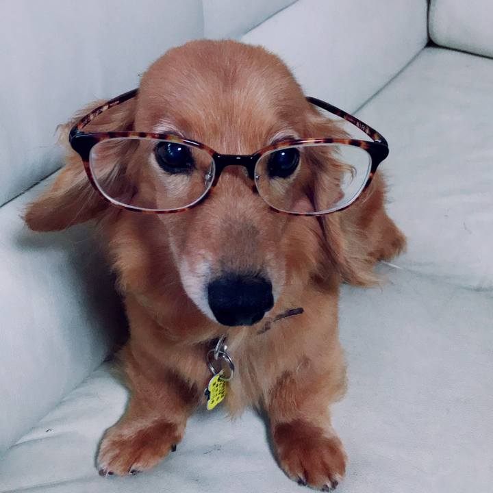 5827f431 7060 483d ae5c d78efb8e26d6 1564398896390