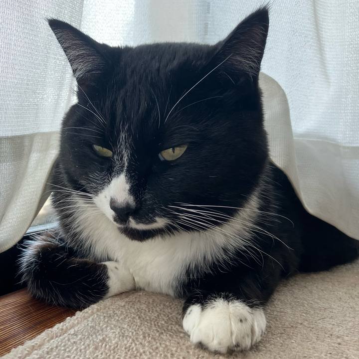 58280ffb e1dd 43c9 96a2 3556736bd203 1749606529629