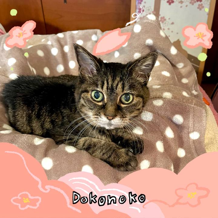 5828171f da70 4895 901e d61968979f5b 1775344473524