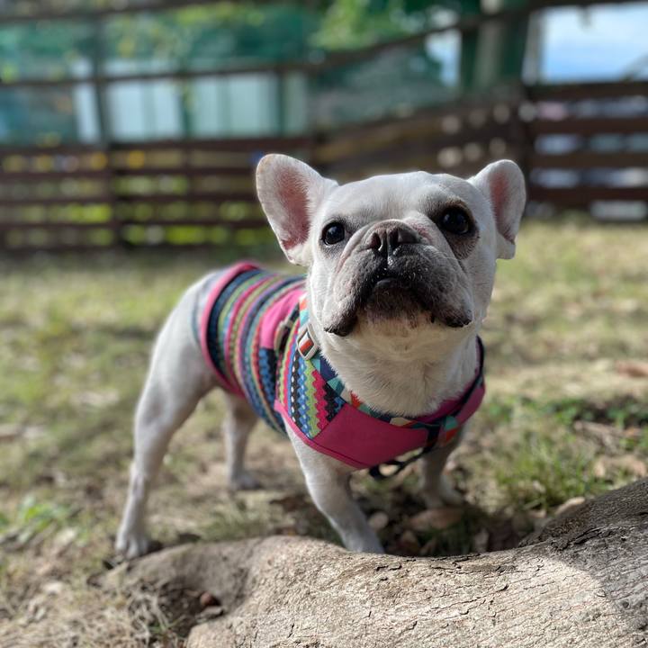 5828447d 9247 499d a26e 632a85897d49 1729498801317