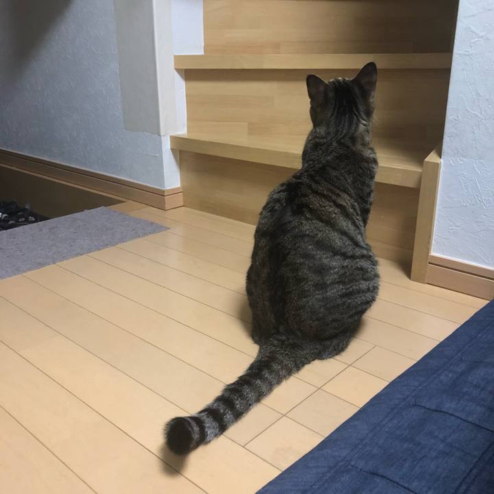 5828574e a77c 4d96 9d8e afe21fa4259b 1536930053400